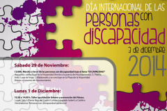 dia-de-las-personas-con-discapacidad-2014