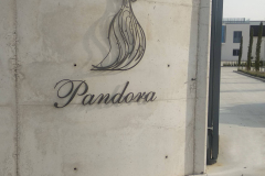 pandora_acero_4