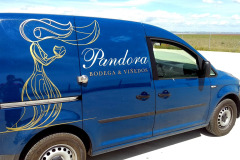 furgoneta-pandora2