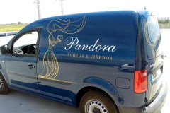 furgoneta-pandora4