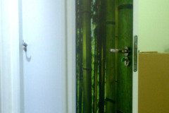 vinilo-en-puerta